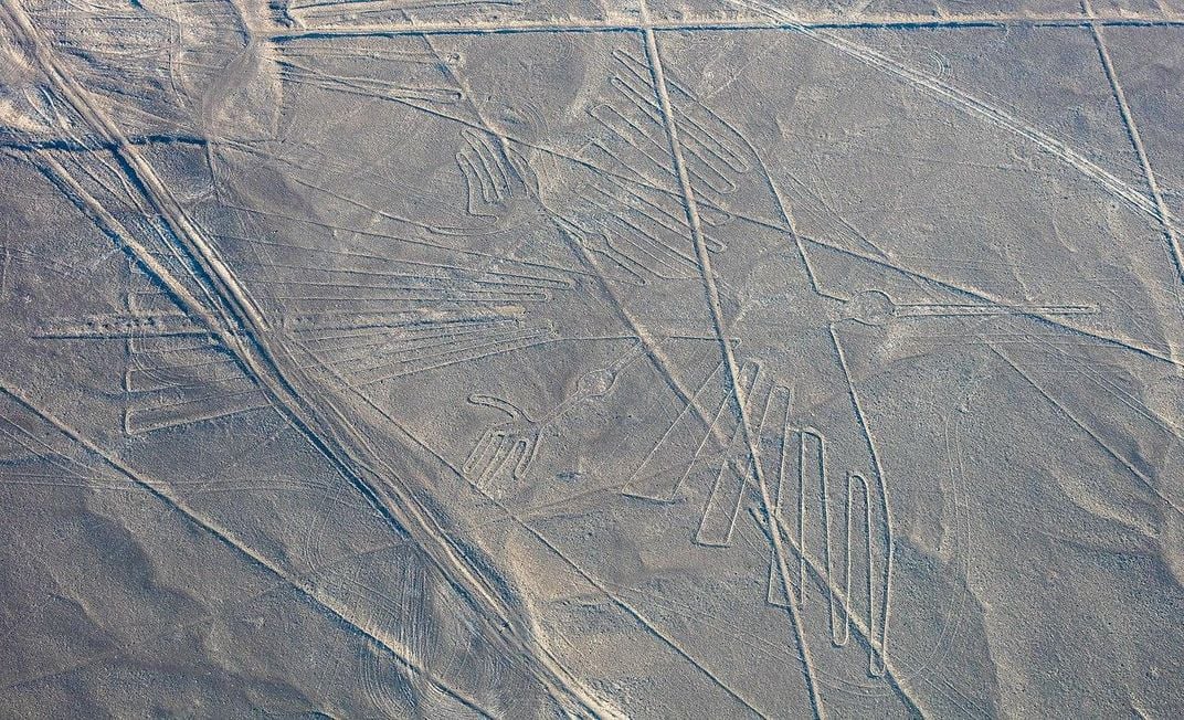 Scientists Identify Exotic Birds Depicted in Peru’s Mysterious Nazca Lines