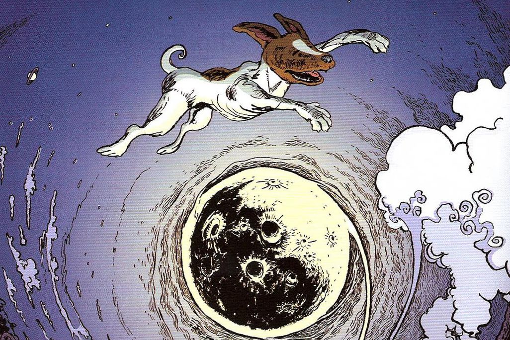 laika 01.jpg
