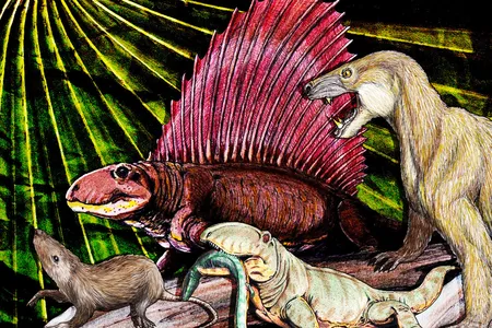 By examining the fossils of ancient creatures, scientists are able to see the origins of features that make mammals different from other animals.