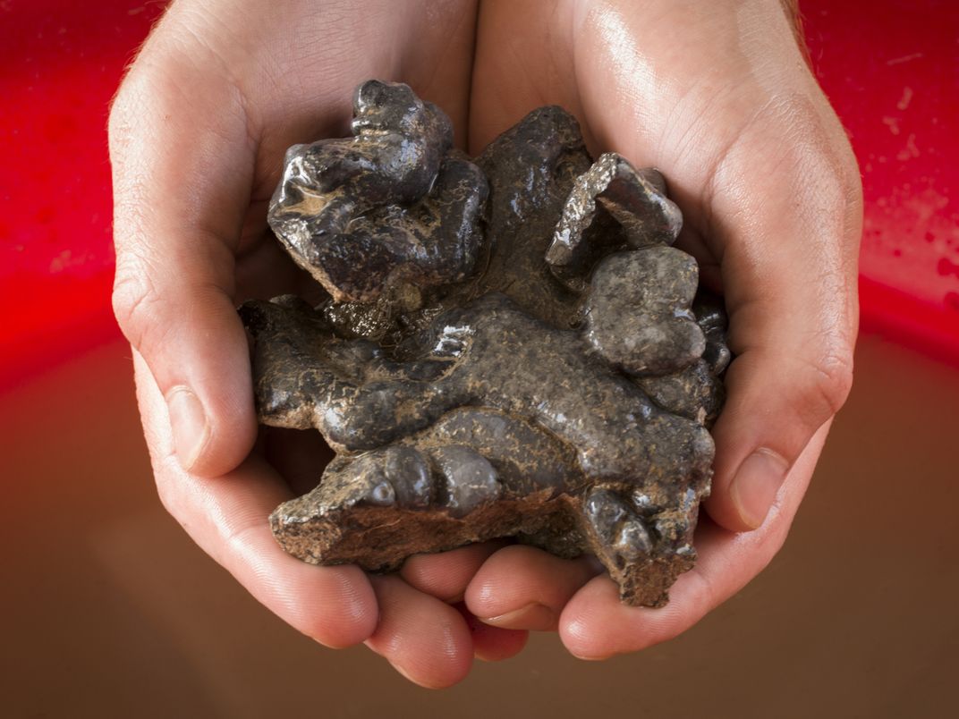 Iron slag found at the site is evidence of extensive production of metals for weapons and tools.