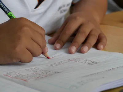Why Is Nearly Every Person Right-Handed—But Not Every Ape and Monkey? New Research Explores the Evolutionary Origins of Human Handedness image