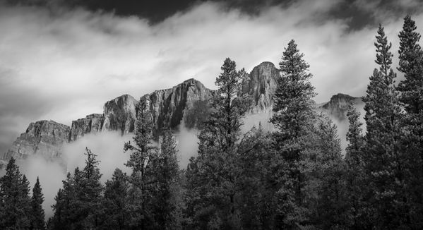 Tree Line ~ Banff National Park, Canada thumbnail