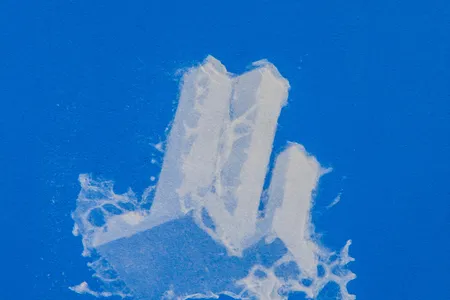 "World Trade Center as a Cloud"
Christopher Saucedo