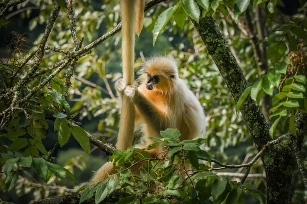 Focus and care thumbnail