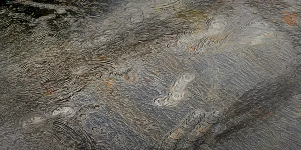 Serendipity 26 thumbnail