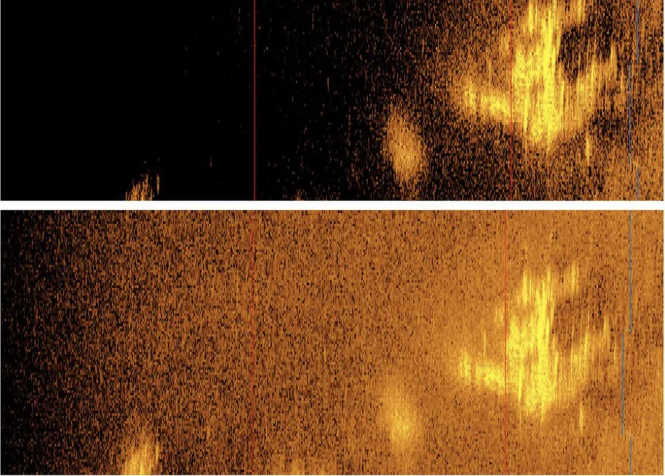 sonar image of a plane-like object