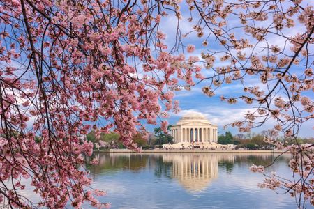 Washington D.C. in Spring