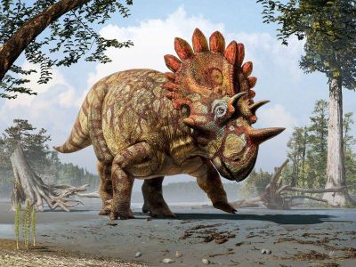 Regaliceratops peterhewsi, the “Hellboy Dinosaur”
