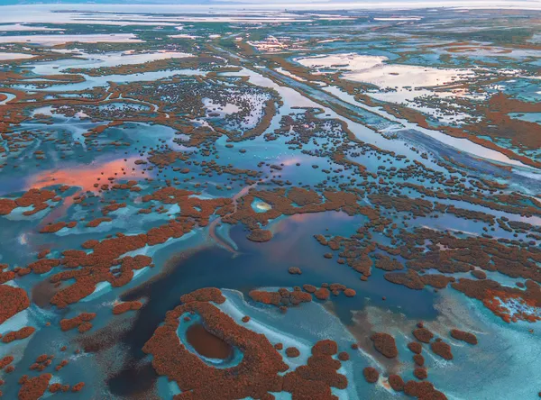 salt marshes. thumbnail