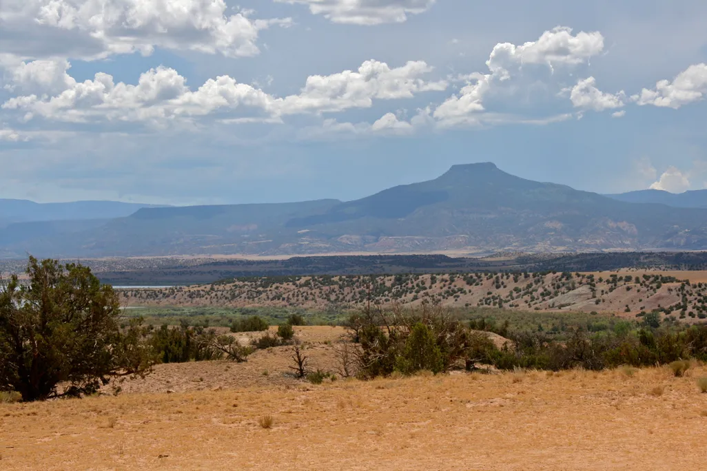 Landscape with mountain in background