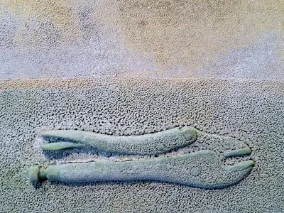 Vice-grips Fossil (detail), 2014, wood, oil paint, polyurethane, pigment, marble dust, cast plastic.