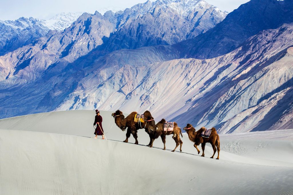 Silk Road