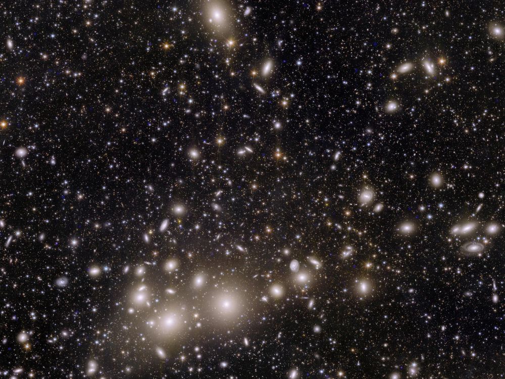A cluster of many galaxies of varying brightnesses