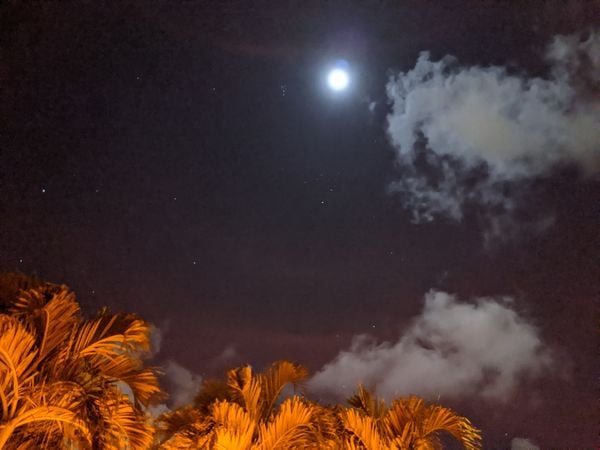 Palm trees underneath a full Moon in the tropics. thumbnail