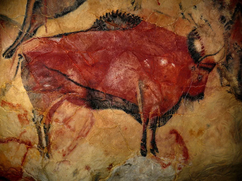 Bison Cave Painting From Altamira