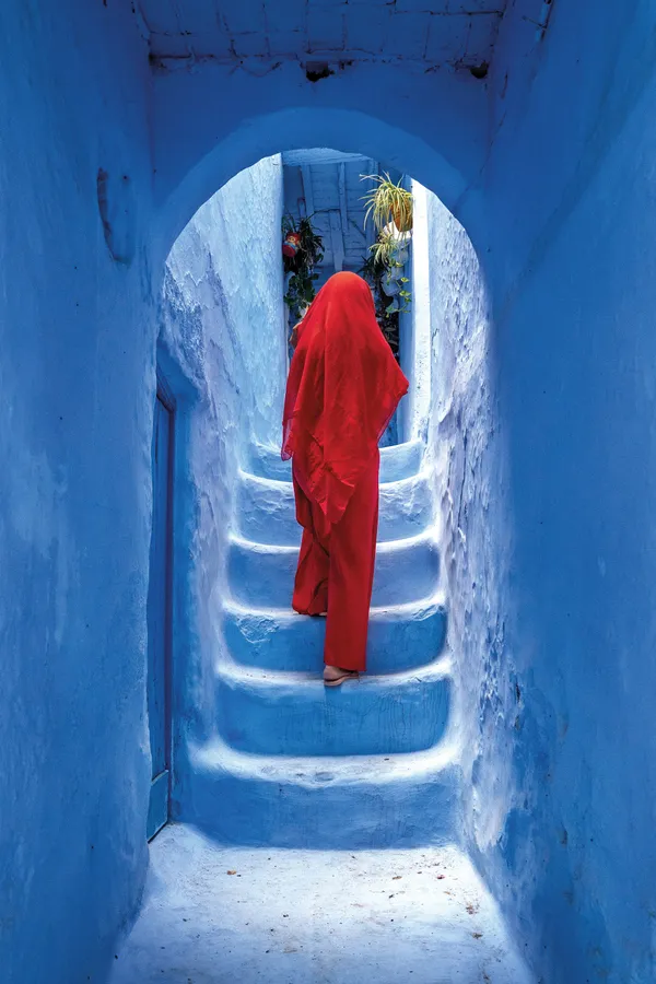 The Blue Alley thumbnail