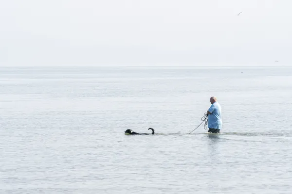 Going for a swim in Braddock Bay. thumbnail