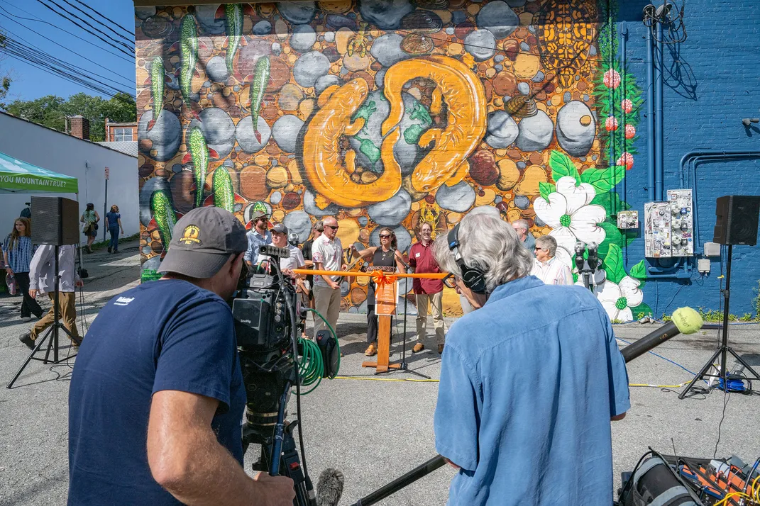 Eastern Hellbender Mural