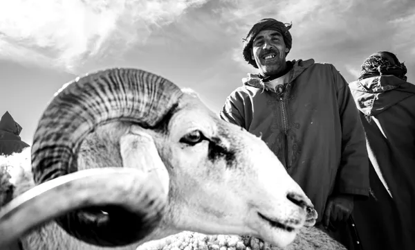 A smile at the livestock market thumbnail