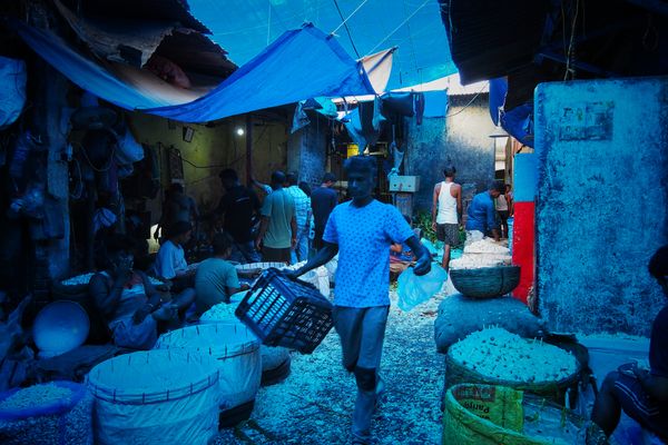 A garlic market thumbnail