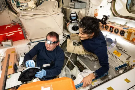 Astronauts Butch Wilmore and Suni Williams inspect safety hardware aboard the ISS in August 2024.
