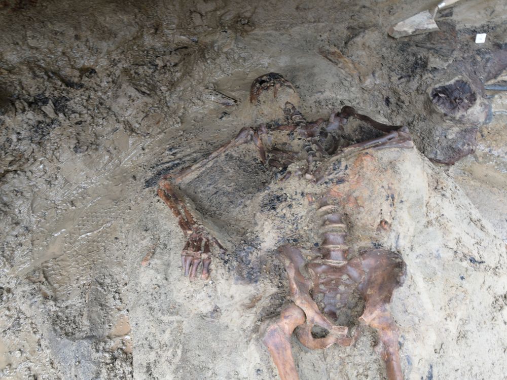 A skeleton lying half-encased in dirt and mud