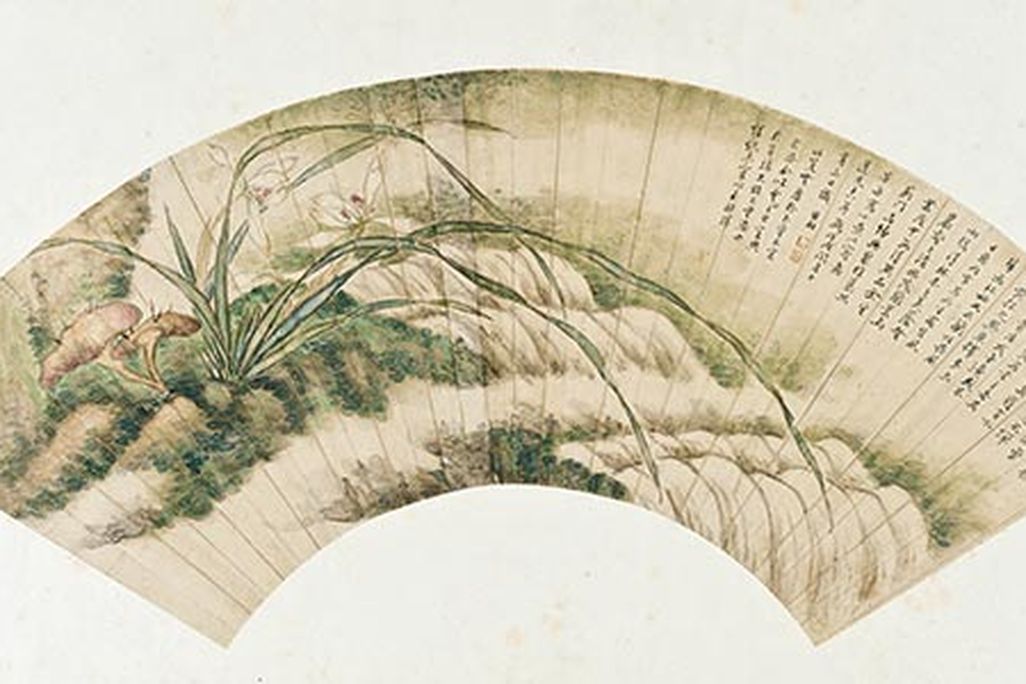 Orchid and Fungus of Immortality by a Torrent