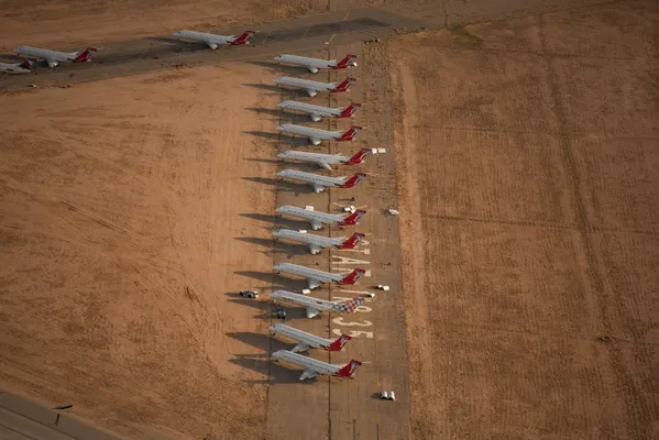 Red Tails at Rest thumbnail