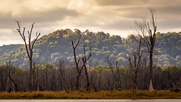 "Death on the Mississippi" - Olympus OM-D-E-M1-MkII / Zuiko 12-200 f3.5/6.3 zoom lens thumbnail