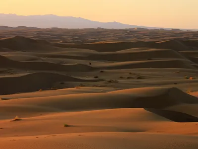 Sand dunes in the Rig-e Jenn in the Dasht-e Kavir