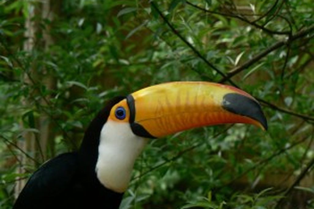 20110520102245474300954_b57c9868e6_o-300x225.jpg