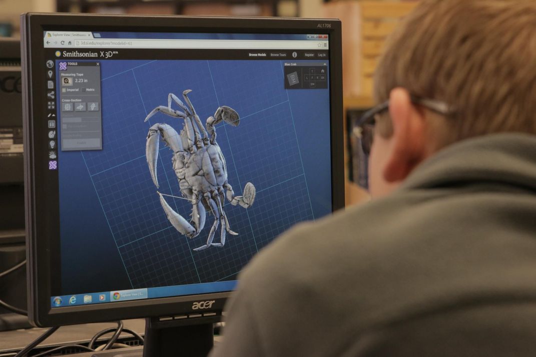 A person sitting in front of a computer screen showing 3D rendering of a crab shell on a blue background.