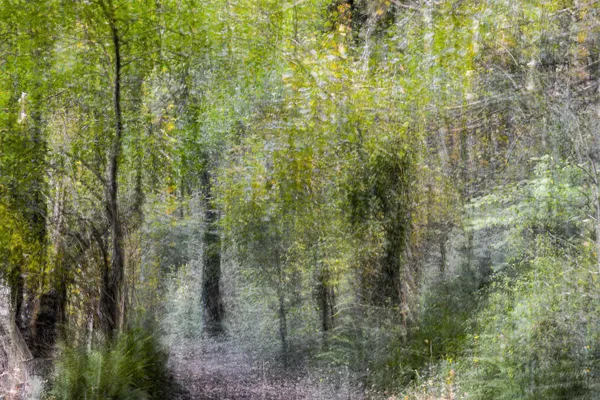 Countryside Impressionism thumbnail