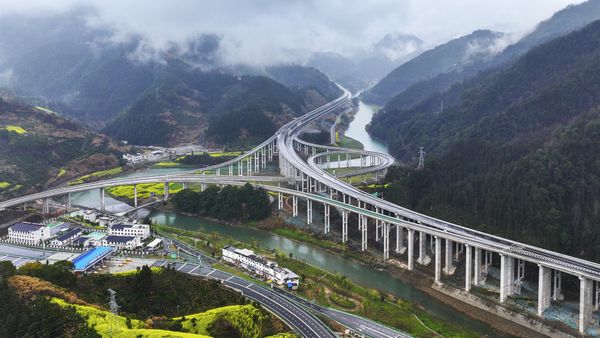 Spring in full bloom thumbnail