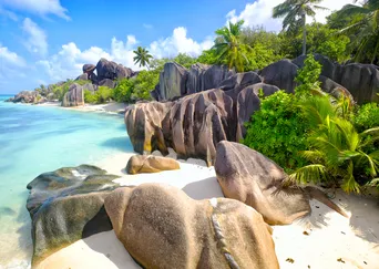 Madagascar and Seychelles: Natural Treasures of the Indian Ocean description