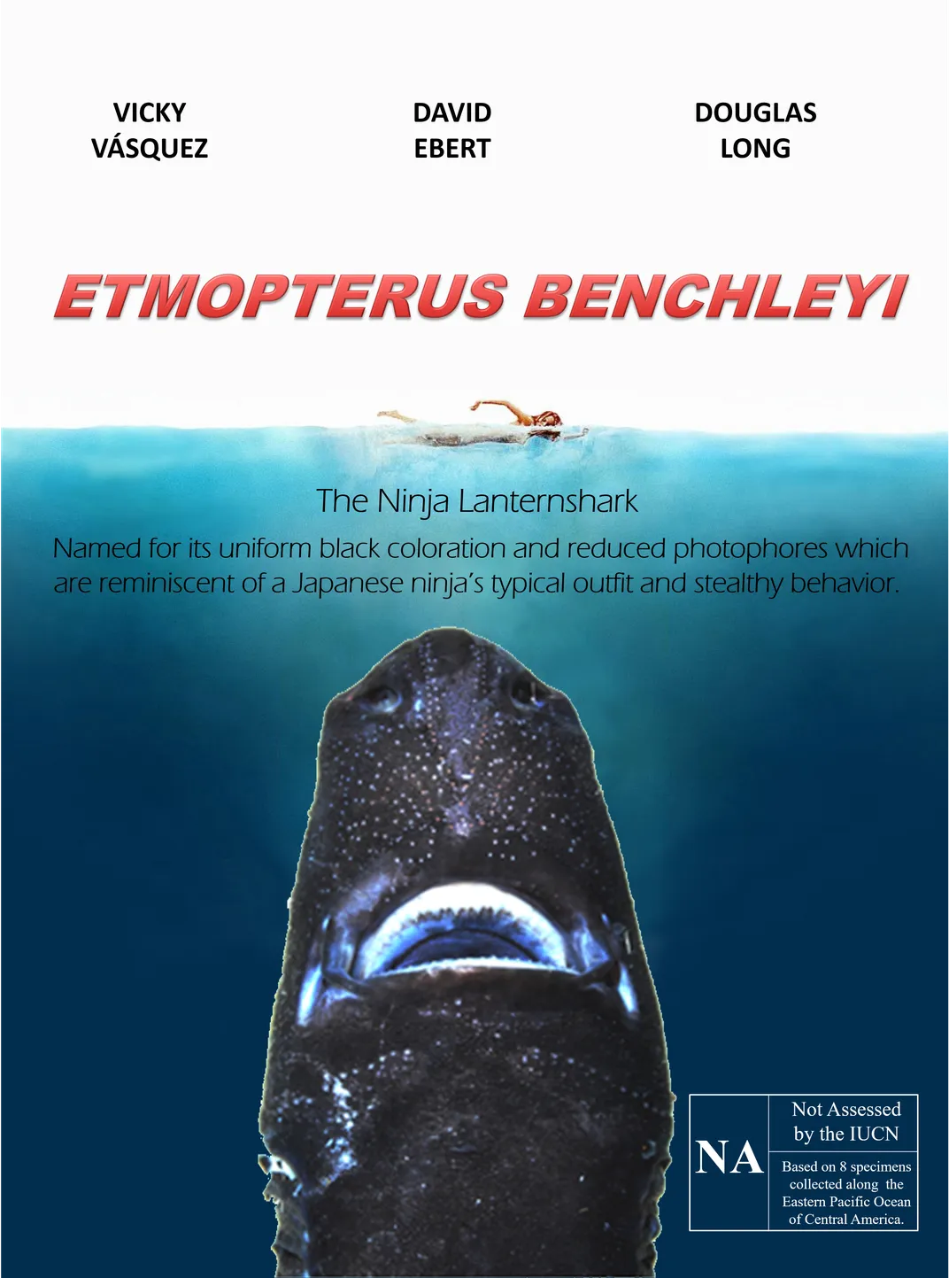 Adam_RL on X: The Ninja Lanternshark (Etmopterus benchleyi) for  #SundayFishSketch. This deep-sea shark species is named after Peter  Benchley, shark conservation advocate and author of Jaws   / X