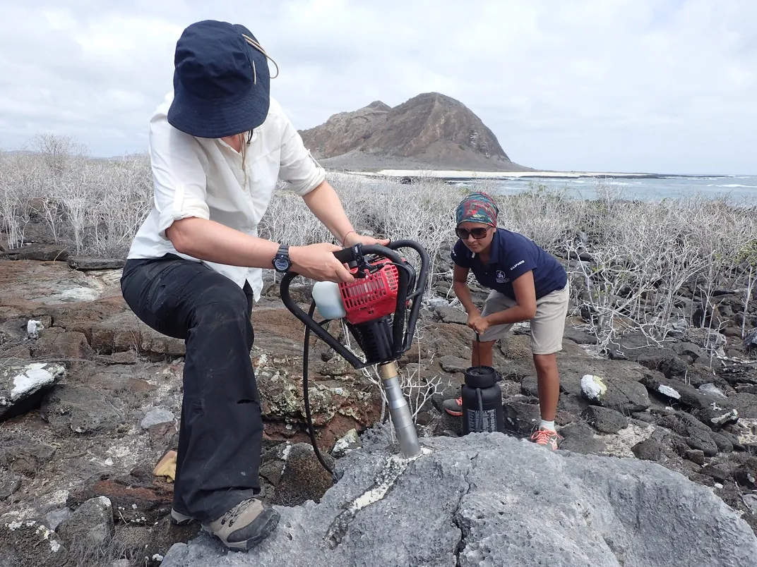 researcher drilling into coral