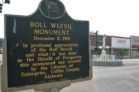 The historical marker in Enterprise, Alabama describing the significance of the statue. 