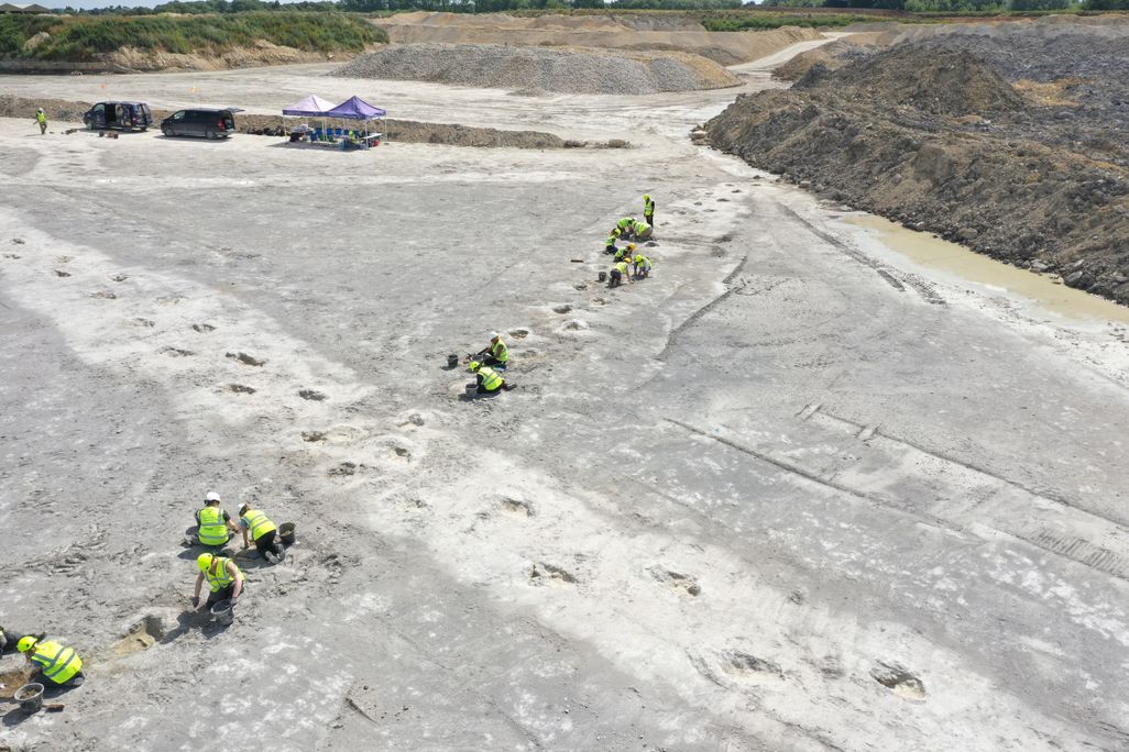 people in green vests work at a paleontological site, with a pathway of dinosaur tracks cutting diagonally across