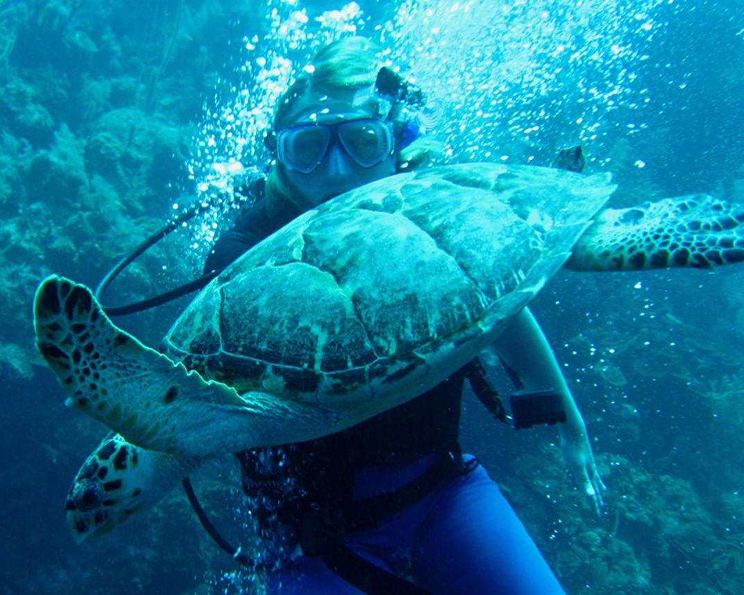 Scuba diving with sea turtles