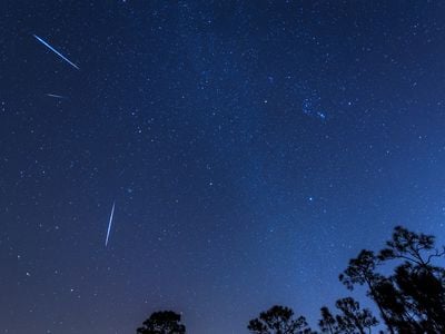The Geminids appear to originate from the Gemini constellation, but you can see them throughout the night sky.