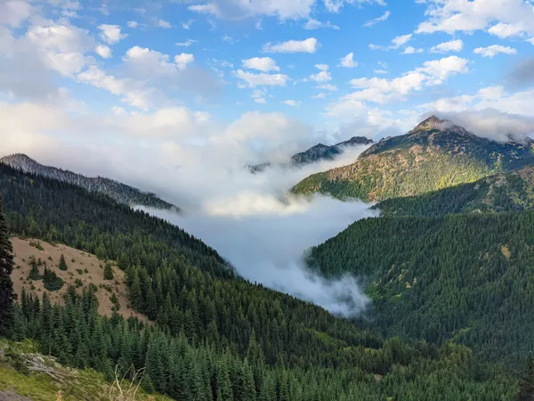 Mountaintops in Olympic National Park. thumbnail