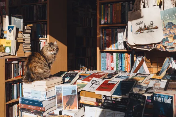 A Timeless Page in Istanbul's Heart thumbnail