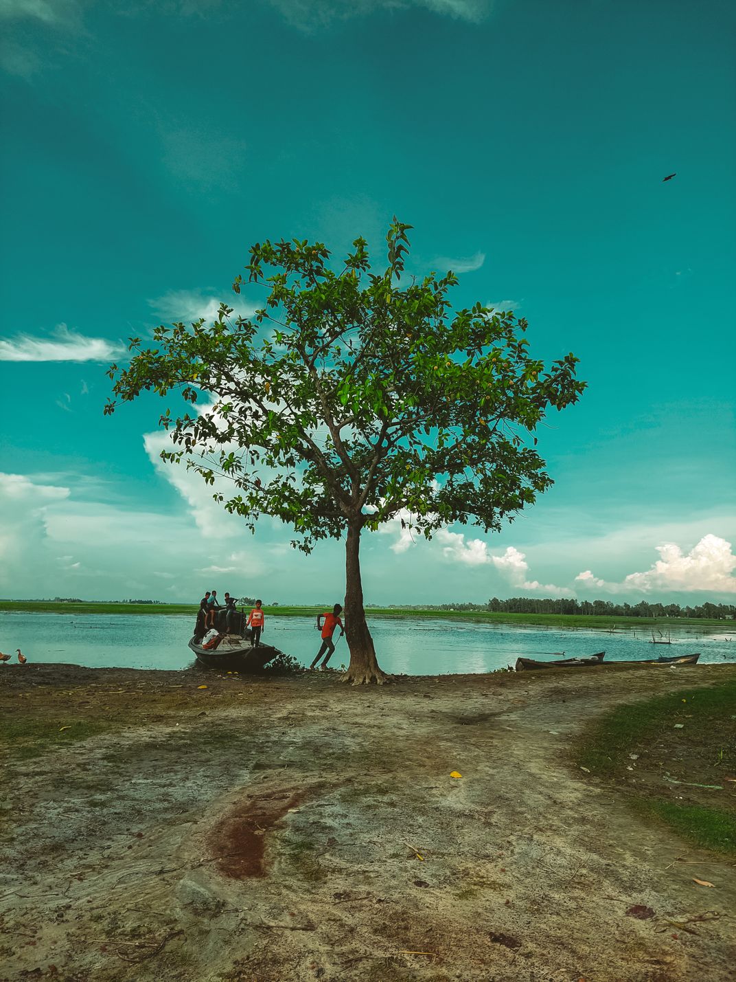 The Solitary Tree | Smithsonian Photo Contest | Smithsonian Magazine