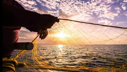 Unearthing the Original Mediterranean Diet