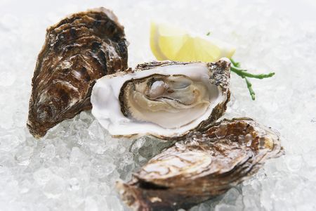 Though threatened by adverse conditions in the Chesapeake Bay, oysters are filter feeders and may provide a much-needed solution for better water quality. 