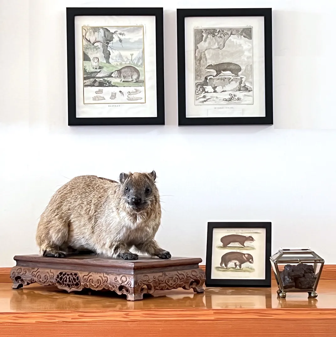 This California Museum Is Home to Hundreds of Nature's Scents