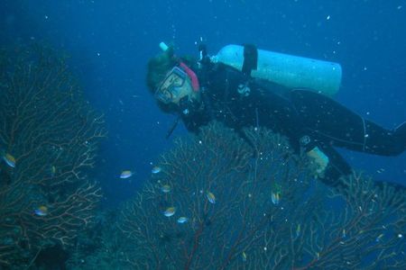 Head scientist at the Smithsonian Marine Station, Valerie Paul, collects blue-green algae samples to study the chemicals they emit. Those chemicals can endanger coral reefs, but also have biomedical potential.