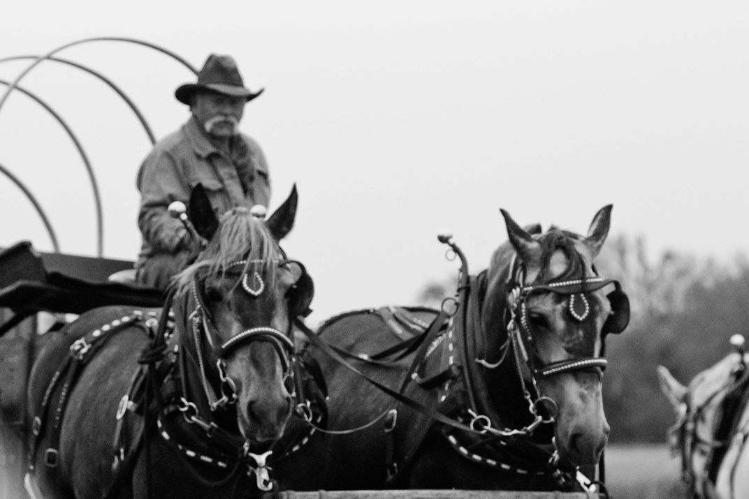 During a Kansas Cattle Drive Smithsonian Photo Contest Smithsonian