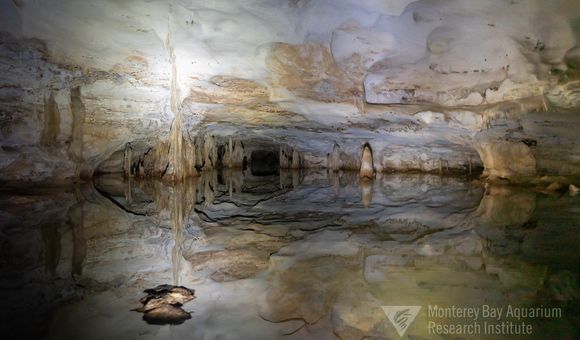 Staring into the mouth of flooded cave passages on the islands of the Turks and Caicos. Hidden cave pools are illuminated by dive lights and photo flash. (Joost Daniels, Monterey Bay Aquarium Research Institute) 